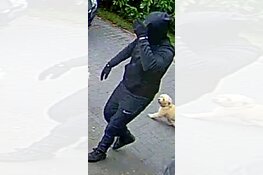 Overvallers laten doodsbange vrouw vastgebonden achter