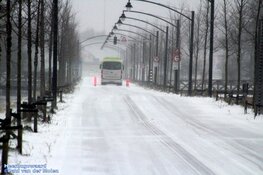 Winterse zondag in beeld