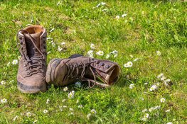 Wat is Lopen met Wilskracht?