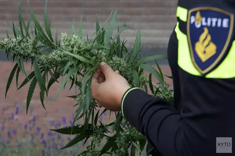 Hennepkwekerij in Enschede aangetroffen na tip
