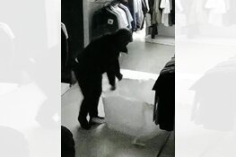 Welke drie mannen in opvallende Audi pleegden een snelkraak bij JL in Enschede?