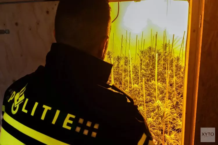 Drie hennepkwekerijen ontmanteld