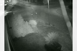 Politie op zoek naar mogelijke getuigen van schietincident