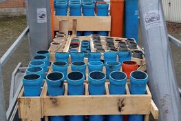 Enorme hoeveelheid zwaar vuurwerk aangetroffen in garageboxen