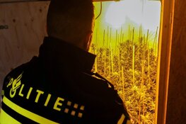Rechercheteam doet onderzoek naar grootschalige hennepteelt