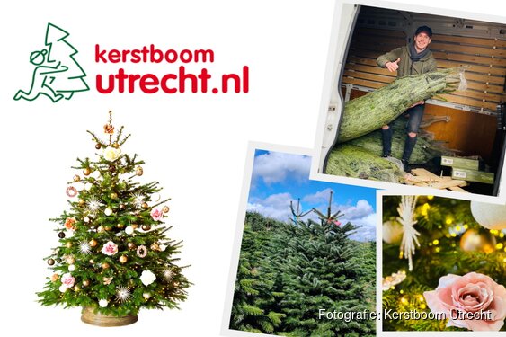 Op zoek naar een echte kerstboom in Utrecht? Natuurlijk bij Kerstboom Utrecht