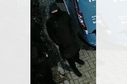 Gezocht: Diefstal Hengelosestraat