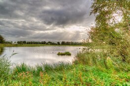 Zeer wisselvallige zomerweek, met zon en buien, voor de boeg