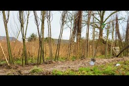 Boomdeeldagen Overijssel: Meer dan 70.000 bomen en struiken erbij