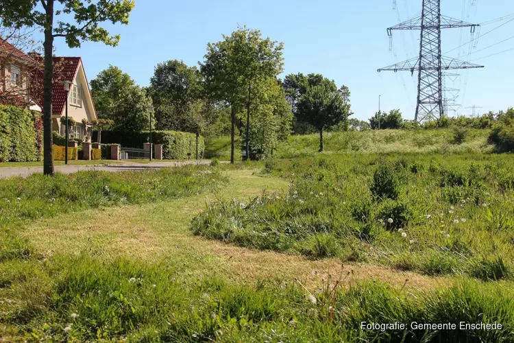Enschede maait met beleid: minder maaien, meer biodiversiteit