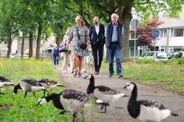 Hoe wil ik oud worden?