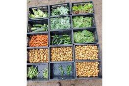 De kracht van vrijwilligers: een blik achter de schermen bij de Voedselbank