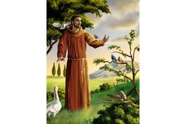 Studiedag in Enschede: Het Zonnelied van Franciscus Een inspirerende dag over schepping, spiritualiteit en zorg voor de aarde