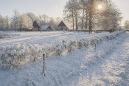Centrum Vitaal organiseert Stiltedag op Twentse boerderij: 'Een moment van rust vlak voor kerst'