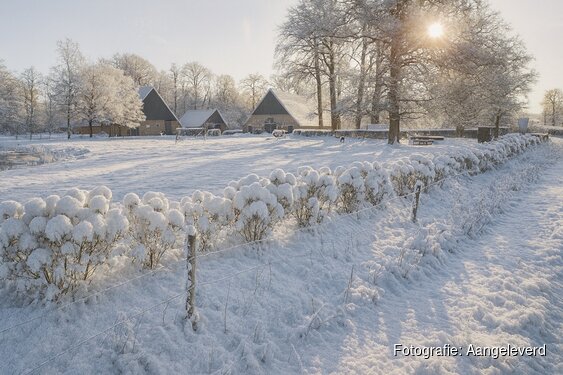 Centrum Vitaal organiseert Stiltedag op Twentse boerderij: 'Een moment van rust vlak voor kerst'