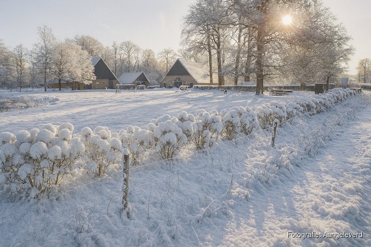 Centrum Vitaal organiseert Stiltedag op Twentse boerderij: 'Een moment van rust vlak voor kerst'