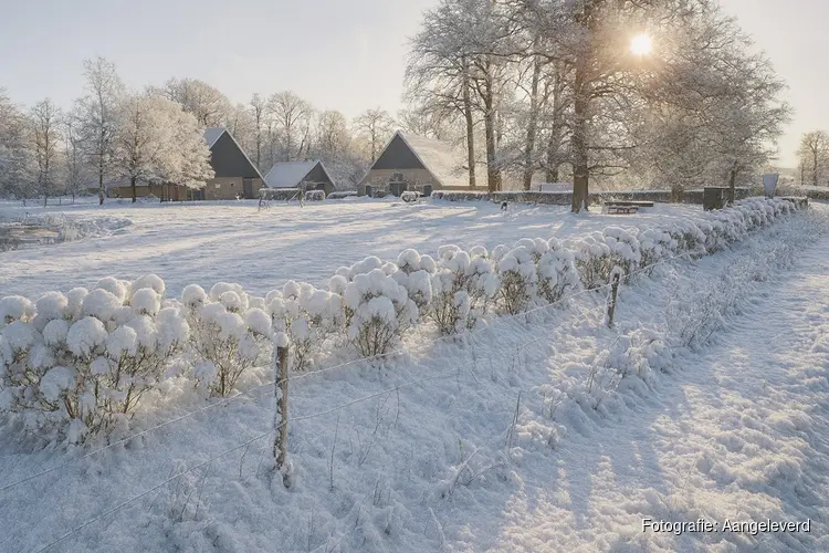 Centrum Vitaal organiseert Stiltedag op Twentse boerderij: 'Een moment van rust vlak voor kerst'