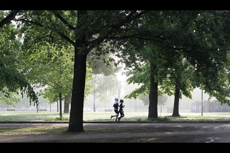 Overijsselaars bewegen steeds minder: helft voldoet niet aan beweegrichtlijn