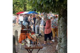 Groots Curiosa en Brocante evenement Diepenheim